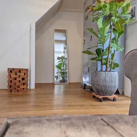 Lanestay Damsquare 4*