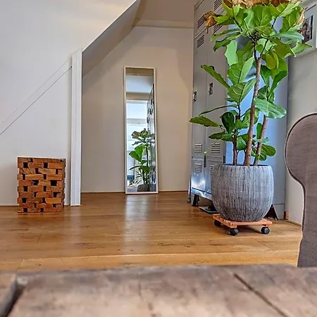Lanestay Damsquare Guest house